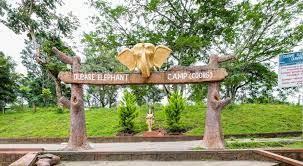 dabre elephant camp