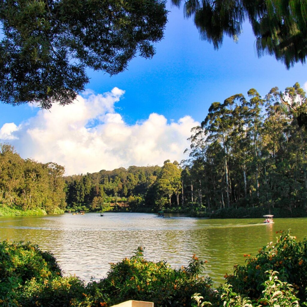 ooty-lake