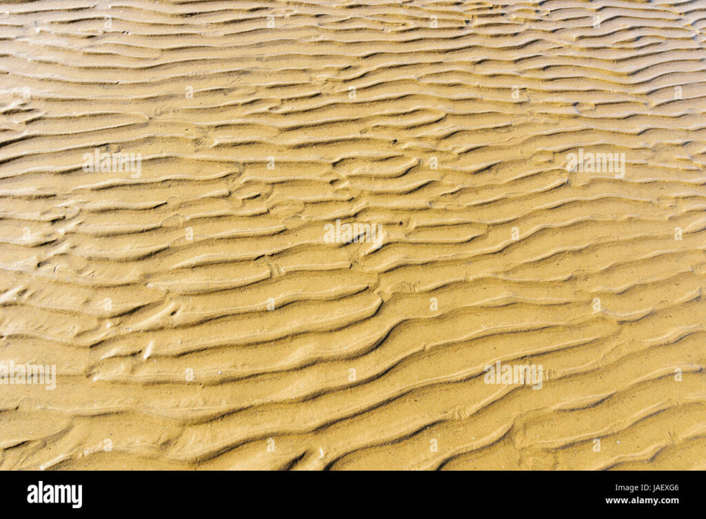 rann of kutch